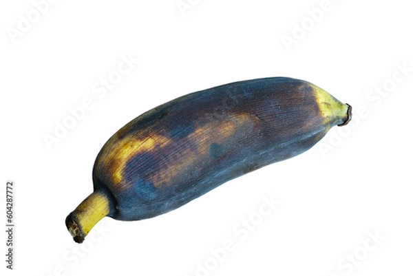 Fototapeta Ripe bananas are about to rot. The dry bark is black and yellow. on a white background