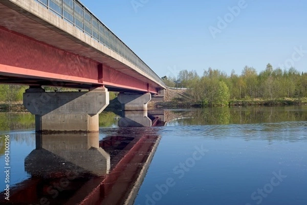 Fototapeta Bridge over the river