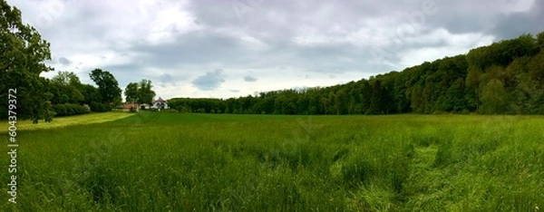 Obraz landscape with trees