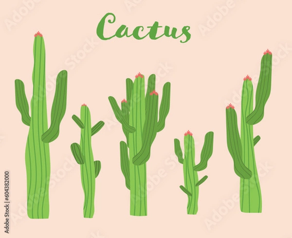 Obraz Illustration Mexican cactus and aloe. Desert spiny plant, mexico cacti flower and tropical home plants isolated vector collection