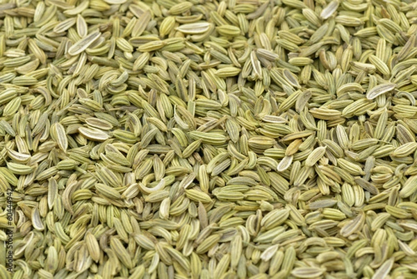 Obraz Fennel seeds