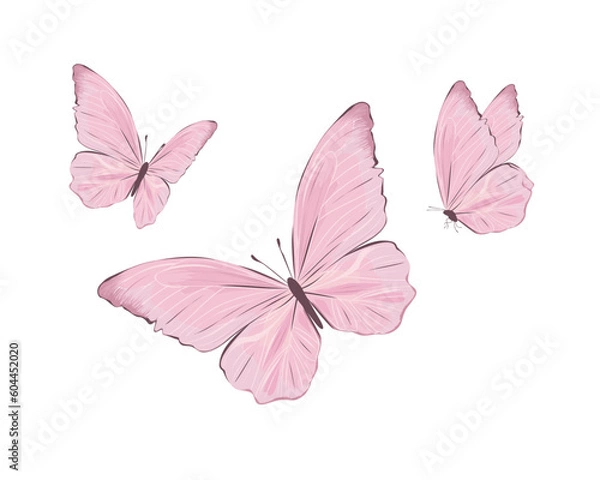 Obraz pink butterfly isolated on white