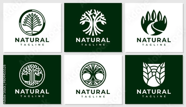Fototapeta Minimalist line plant tree logo design set