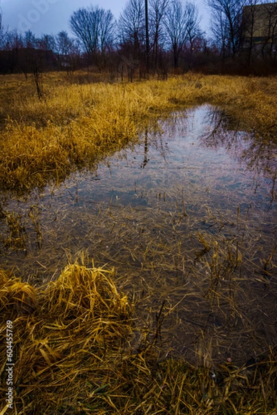Fototapeta Vertical view of a marshland with brown withered grass and ditches of stagnant water