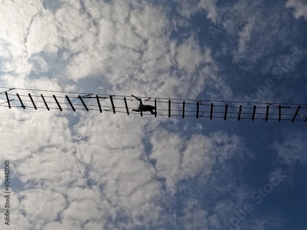 Obraz monky in the sky