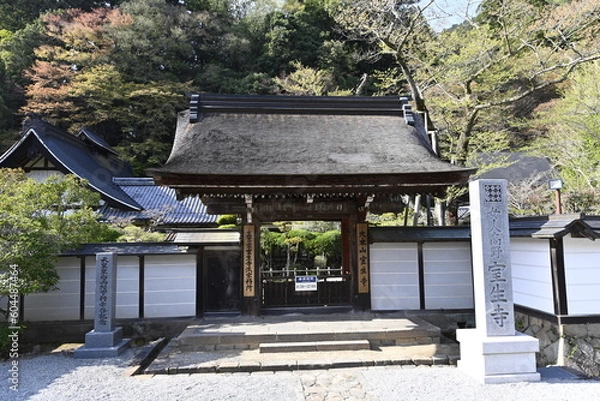 Fototapeta 室生寺