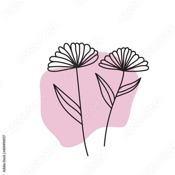 Fototapeta pink rose flower