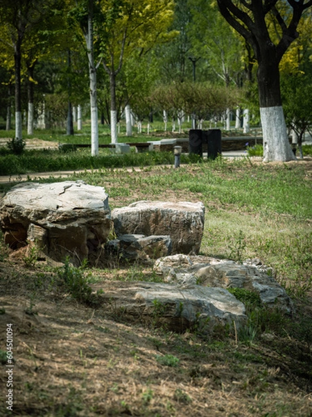 Fototapeta A 100 million pixel high-definition artwork park captured by Fuji camera GFX100S camera