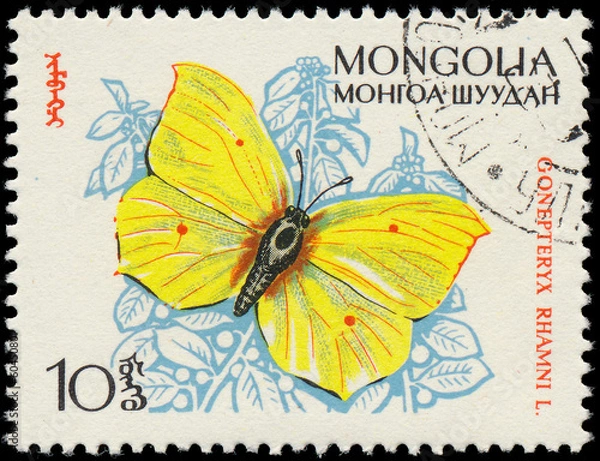 Fototapeta MONGOLIA - CIRCA 1963: A stamp printed in Mongolia shows butterf