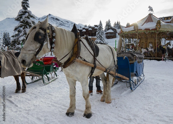 Obraz Sleigh rides