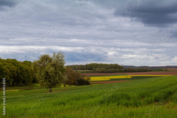 Obraz Landschaft Redingen
