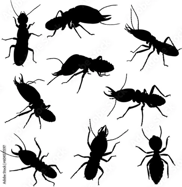 Fototapeta various poses of termites in black and white graphics, in motion and static,silhouette