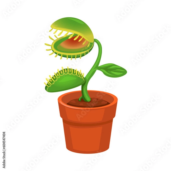 Fototapeta Carnivorous Plant on Pot Cartoon illutration vector