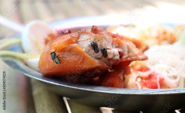 Obraz Dirty Flies on food, cause pathogen transmission