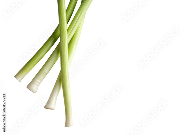 Fototapeta leek isolated on white