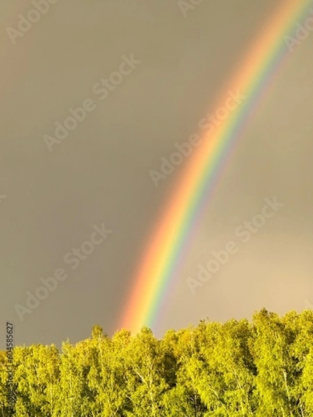Obraz rainbow in the sky