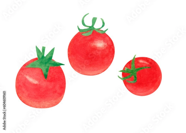 Obraz ミニトマト