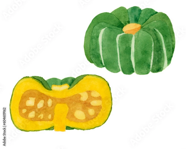 Obraz カボチャ　水彩
