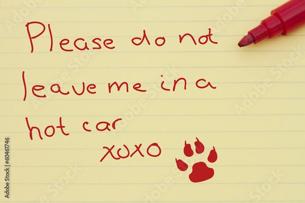 Fototapeta Dangers of leaving a dog in parked cars