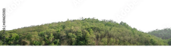 Obraz rocky mountain hill with green forest isolated on transparent background with clipping path and alpha channel..