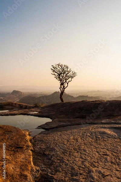 Obraz allein stehend