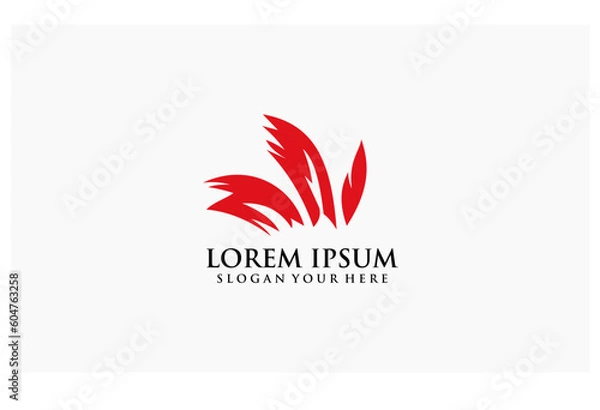 Obraz feather concept design mascot indian logo