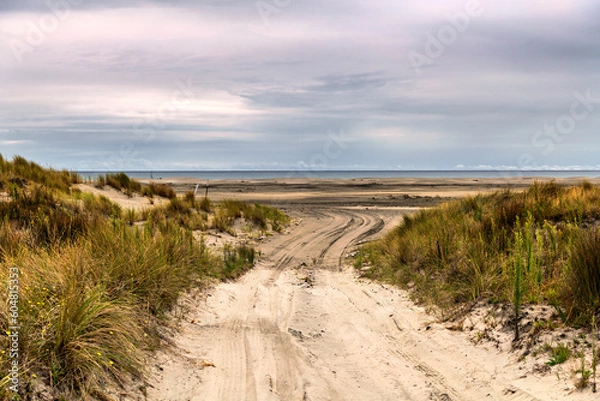 Fototapeta Access to a wide sandy beach, right through the dunes