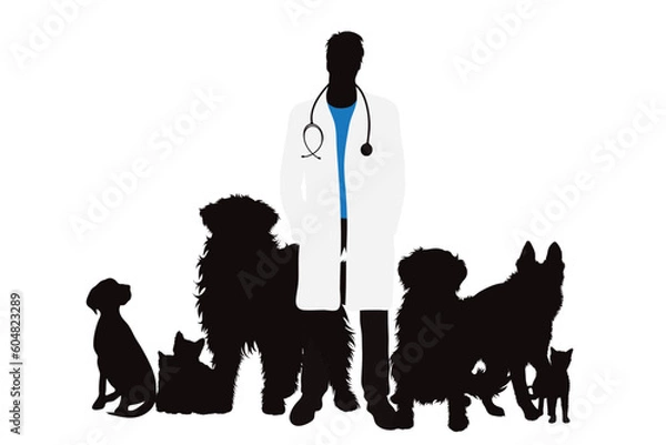 Obraz Vector silhouette of veterinary with group of animals on white background. Symbol of pet and vet.