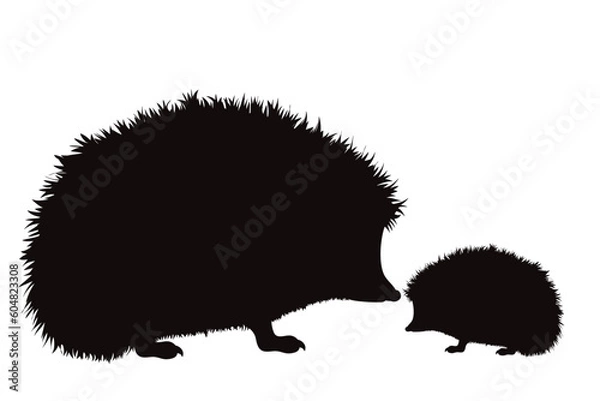 Fototapeta Vector silhouette of family of hedgehog on white background.