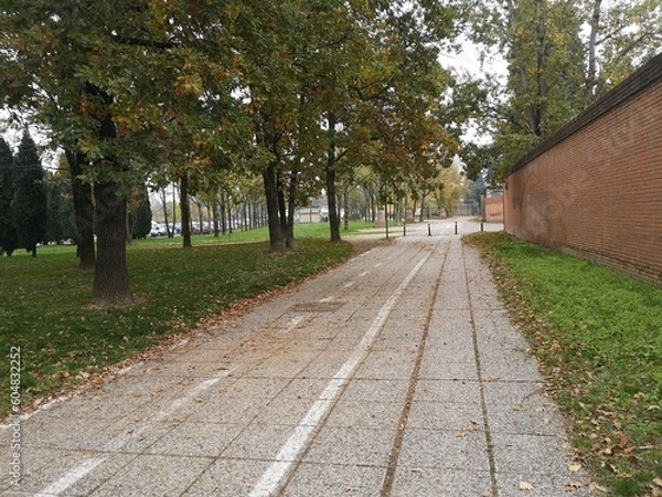 Obraz path in the park