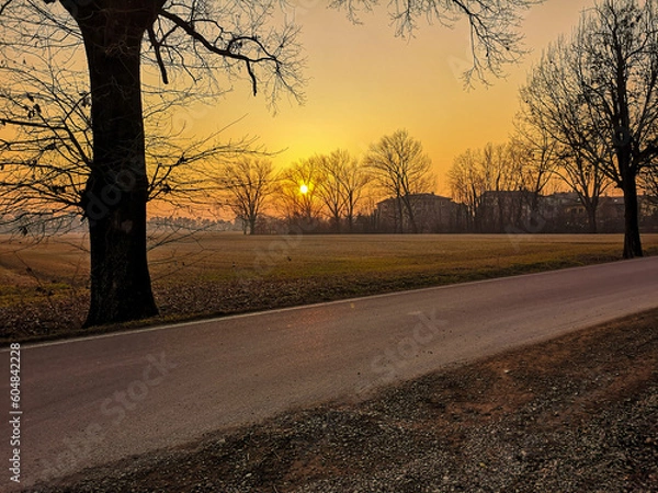 Obraz sunset on the road