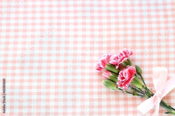 Fototapeta カーネーション