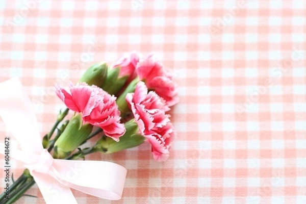 Fototapeta カーネーション