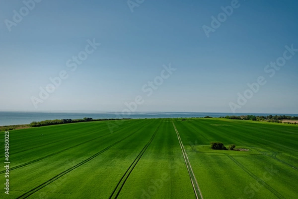 Fototapeta Aussicht vom Leuchtturm auf Fehmarn