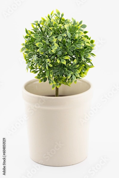 Obraz 緑の葉　植物　フェイクグリーン