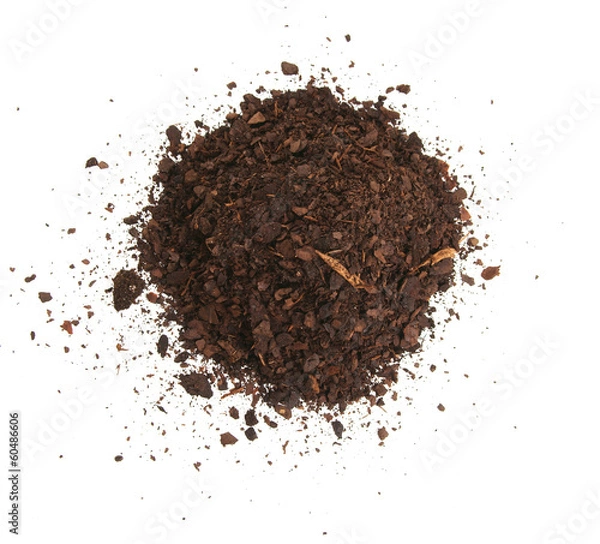 Fototapeta Cortex garden