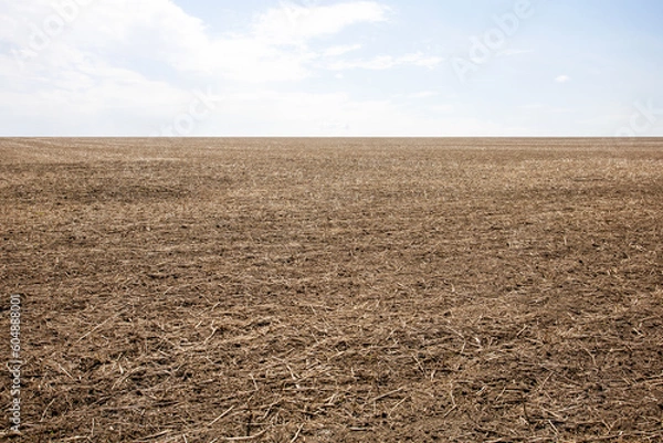 Fototapeta Dry field.  Drought season concept.