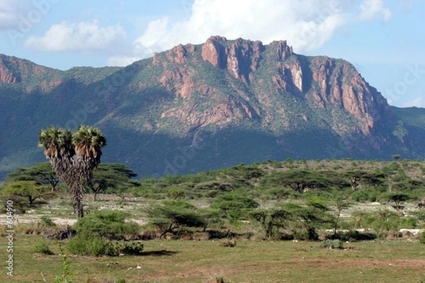 Obraz paysage de samburu
