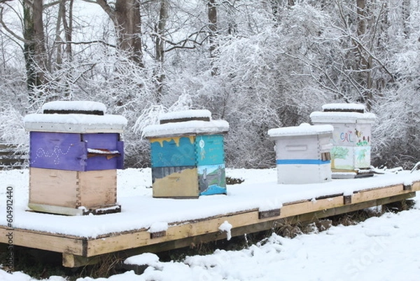 Fototapeta Apiary