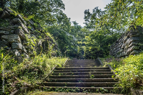 Fototapeta 二俣城跡は静岡県浜松市天竜区二俣町二俣にある戦国時代の山城跡