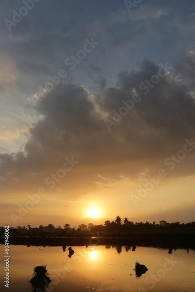 Obraz silhouette view at sunset