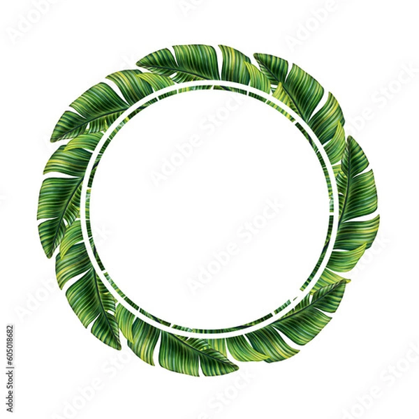 Fototapeta Round template for text with tropical palm leaves. Tropic leaf wreath. Circle frame with jungle rainforest exotic plants. Isolated on white realistic hand drawn illustration for label design.