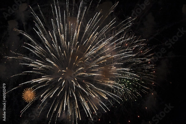 Obraz Firwork art by night,