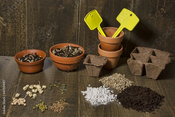 Fototapeta Sowing time