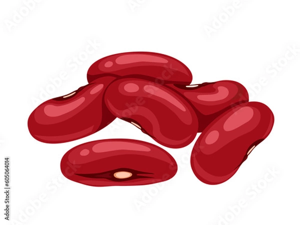 Obraz Vector illustration, red bean or Phaseolus vulgaris, isolated on white background.