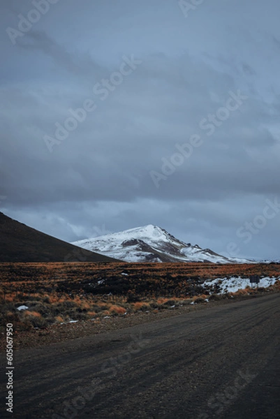 Obraz PAISAJE NEVADO 