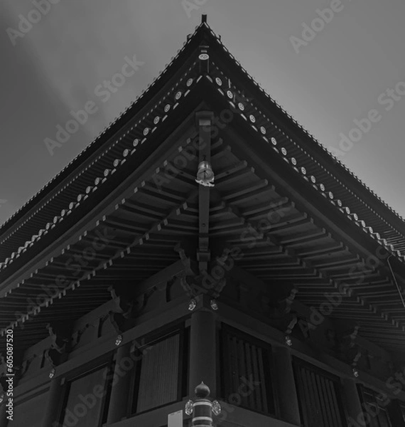 Obraz this is from oplus camera