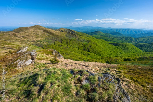 Fototapeta Spring landscape of the Bieszczady Mountains. A view of the Mount Halicz.