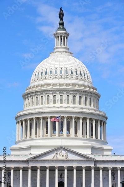 Obraz Washington DC - National Capitol
