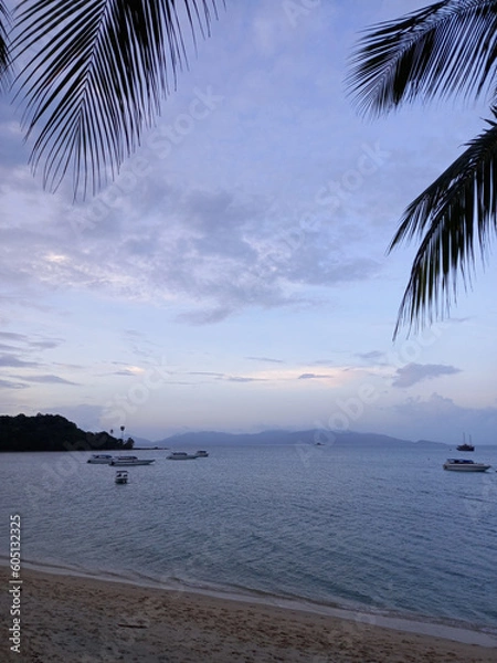 Fototapeta Tropical beach with palm tree at sunset, Koh Samui, Thailand